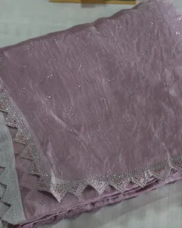 Jimmy Choo Silver Radiance Zari Saree