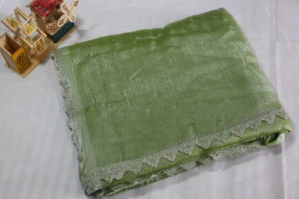 Jimmy Choo Silver Radiance Zari Saree beautiful green color in beautiful wrap
